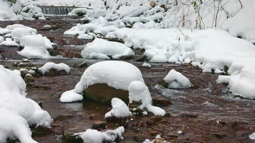 A Mountain Stream Flows Among Stones and Trees in the Carpathian Mountains