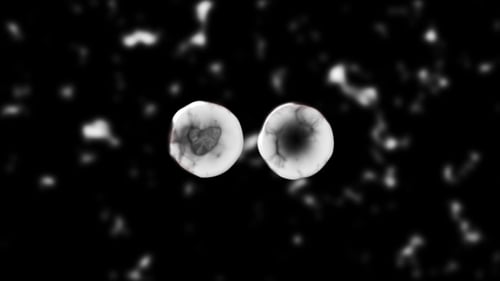 Abstract Cell Division and Replication Process Animation