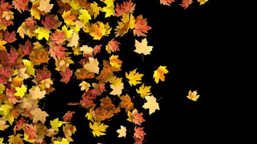 Natural Falling Autumn Leaves Overlay