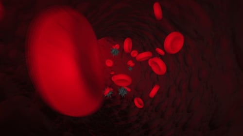 Animated Bloodstream Flow with Red Blood Cells and Viruses