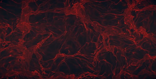 Abstract Red Organic Network Motion Background Loop