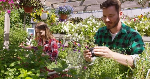 People Gardening among Colorful Flowers in Greenhouse