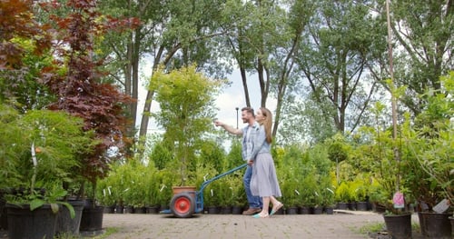 Jardineiros empurrando árvore na carroça