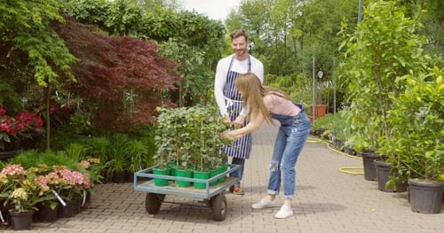 Man and Woman with Wagon in Garden