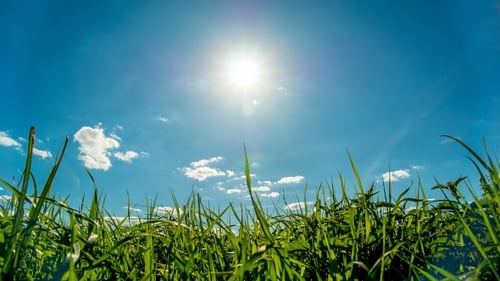 Green Field and Sky Blue with White Clouds