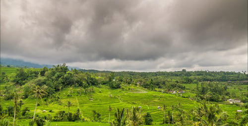 Rice Terrace