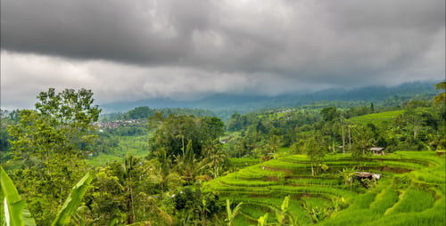 Rice Terrace And Moody Clouds