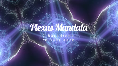 Mandala del plexo 1