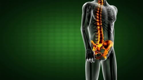 Human Bones Radiographic Scan