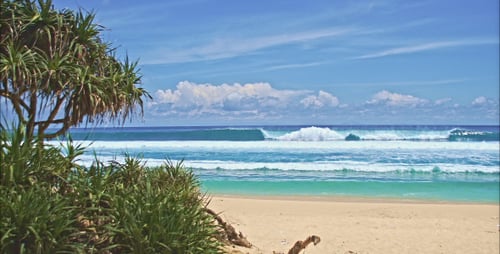 Ocean Beach With Green Trees 2