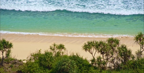 Vista superior de Wild Ocean Shore