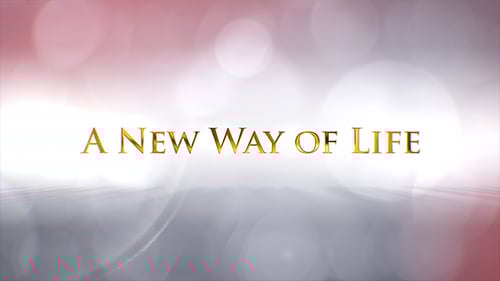 Wedding Trailer Titles