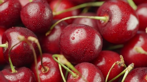 Cerises fraîches et juteuses