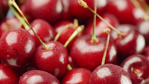Appetizing Red Cherries