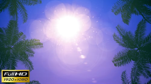 Palms Loop-Hintergrund
