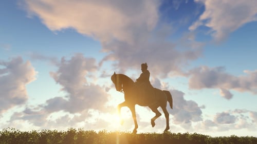 Statue Of Napoleon
