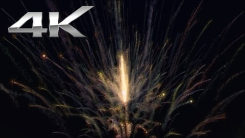 Feuerwerk-Blume