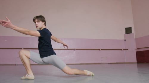 Ballet Dancer, Male in Flight, Execution of Movements, a Dancer in the Work