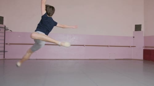Ballet Dancer, Male in Flight, Execution of Movements, a Dancer in the Work