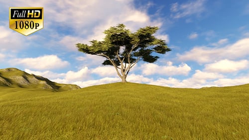 Baum auf dem Hügel 2