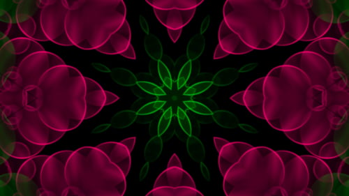 Pink Flower Kaleidoscope Loop V5