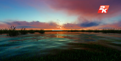 Swamps and Flies