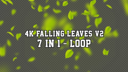 Seamless Loop of Falling Green Leaves Overlay