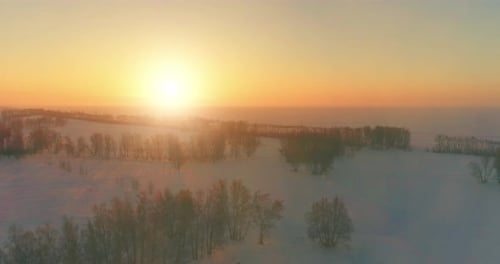 Aerial Drone View of Cold Winter Landscape with Arctic Field Trees Covered with Frost Snow