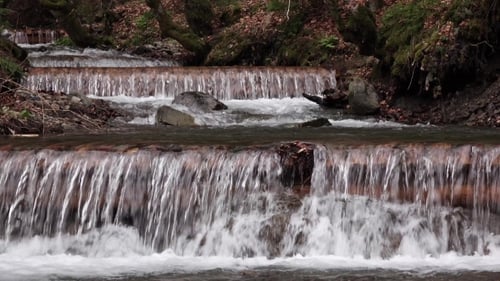 Water Cascades Down Rocky Steps Among Mosses and Spring Forest