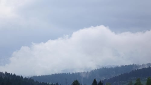 Clouds Form Over Forest on Slopes of Hills,