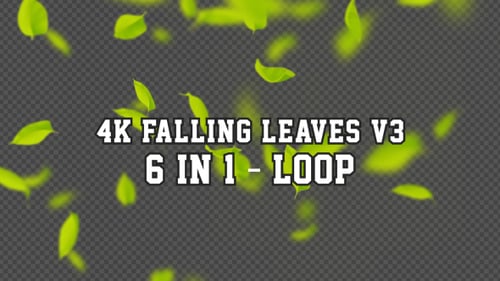 Realistic Falling Green Leaves Transparent Overlay