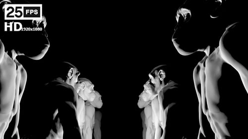 Rotating Abstract 3D Hominid Figures Animation