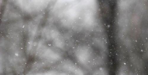 Fortes chutes de neige