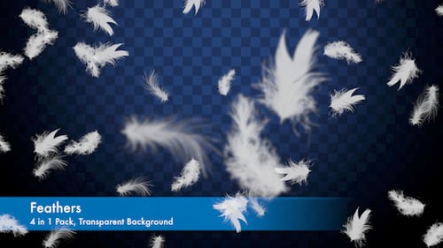 White Feathers Floating Transparent Overlay Pack