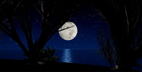 Full Moon Over Ocean Reflecting Moonlight and Starry Night Sky