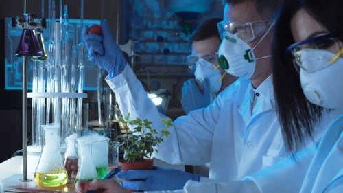People Dripping Chemical in Plant