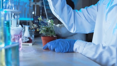 Químico haciendo pruebas en un laboratorio