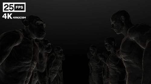 3D Human Evolution from Ape Conceptual Animation