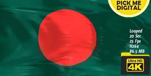 Bangladesh National Flag Realistic Waving Loop