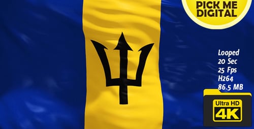 Barbados Flag Waving in Realistic Cloth Animation