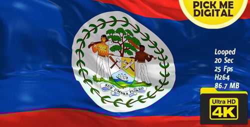 Belize Flag Waving Looped Animation