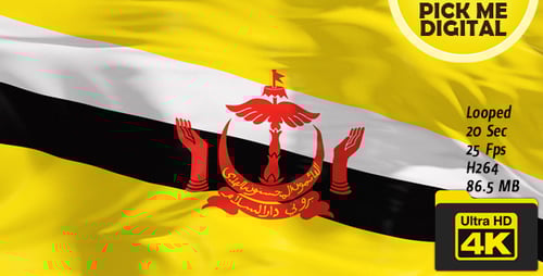 Brunei National Flag Waving Seamless Loop Animation