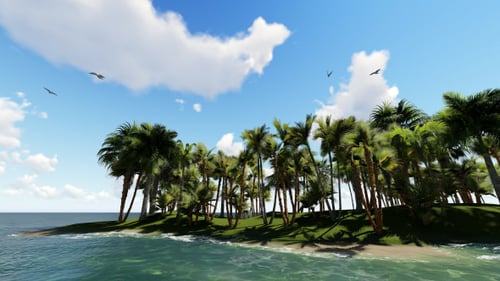 Ocean and Palm Island