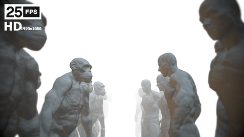 Animated Human Evolution from Ape to Man