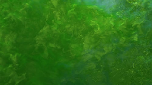 Green Smoke Transitions