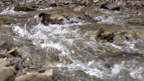 Mountain Calm Stream Among Stone Banks with Clear Spring Water