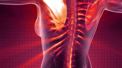 3D Human Body Scan with Pain Points Highlighted