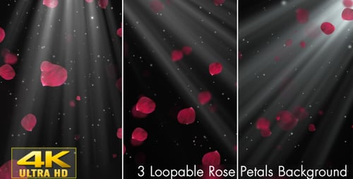 Rose Petals