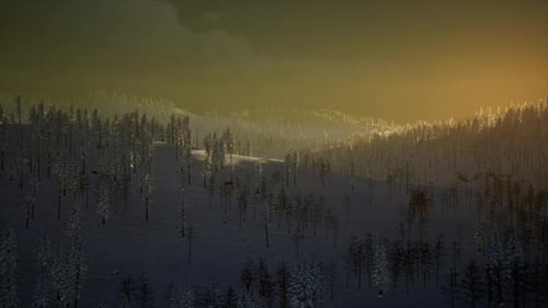 Fog and Snow on Mountain