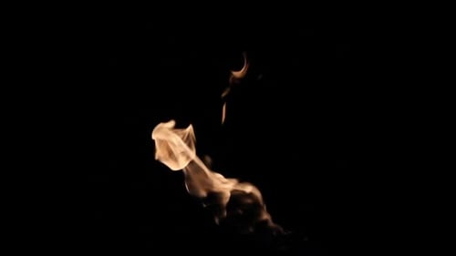 Flamme des Feuers